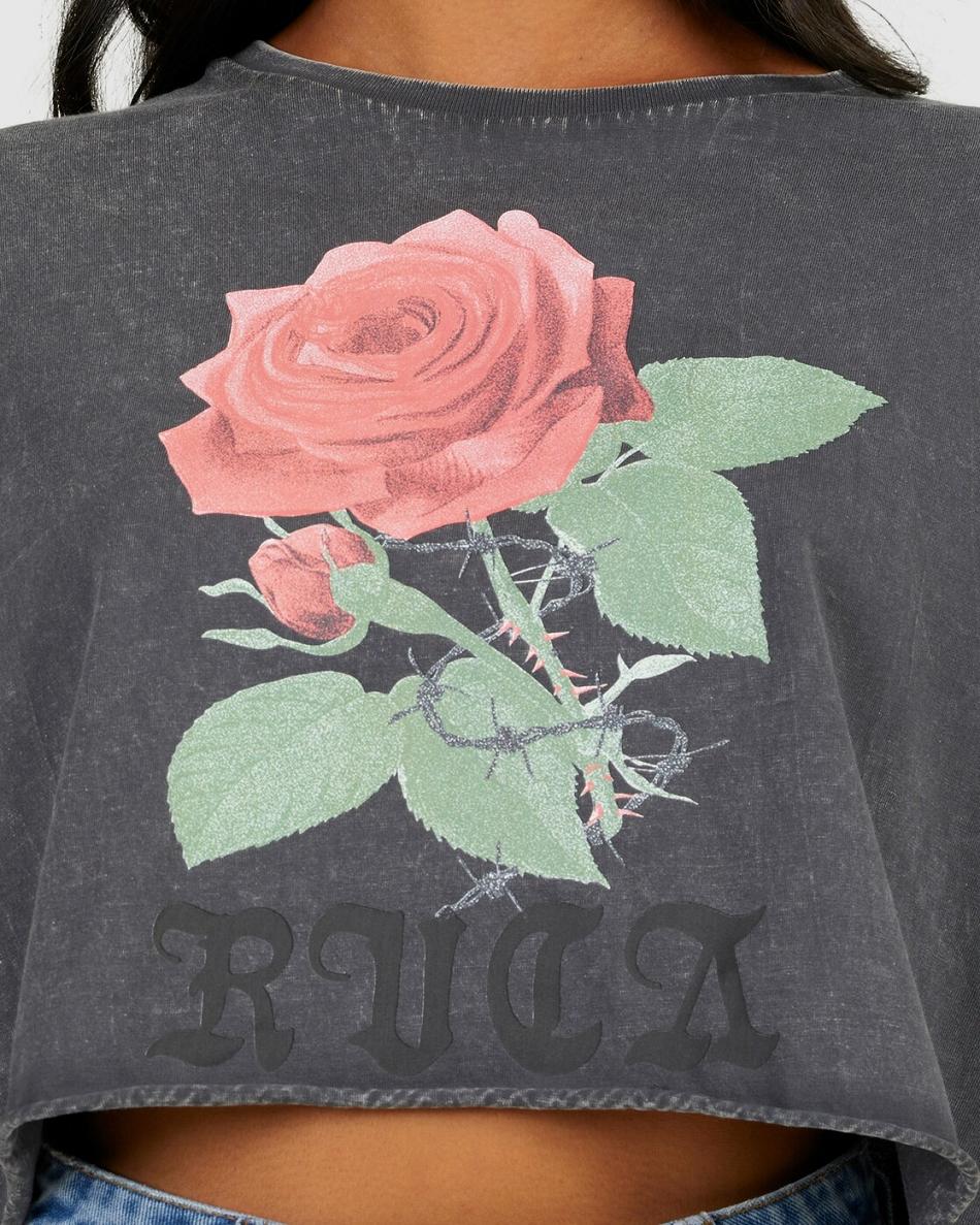 Antique Black Rvca ROSES HALF RUMMAGE Women's T shirt | USCVG16578
