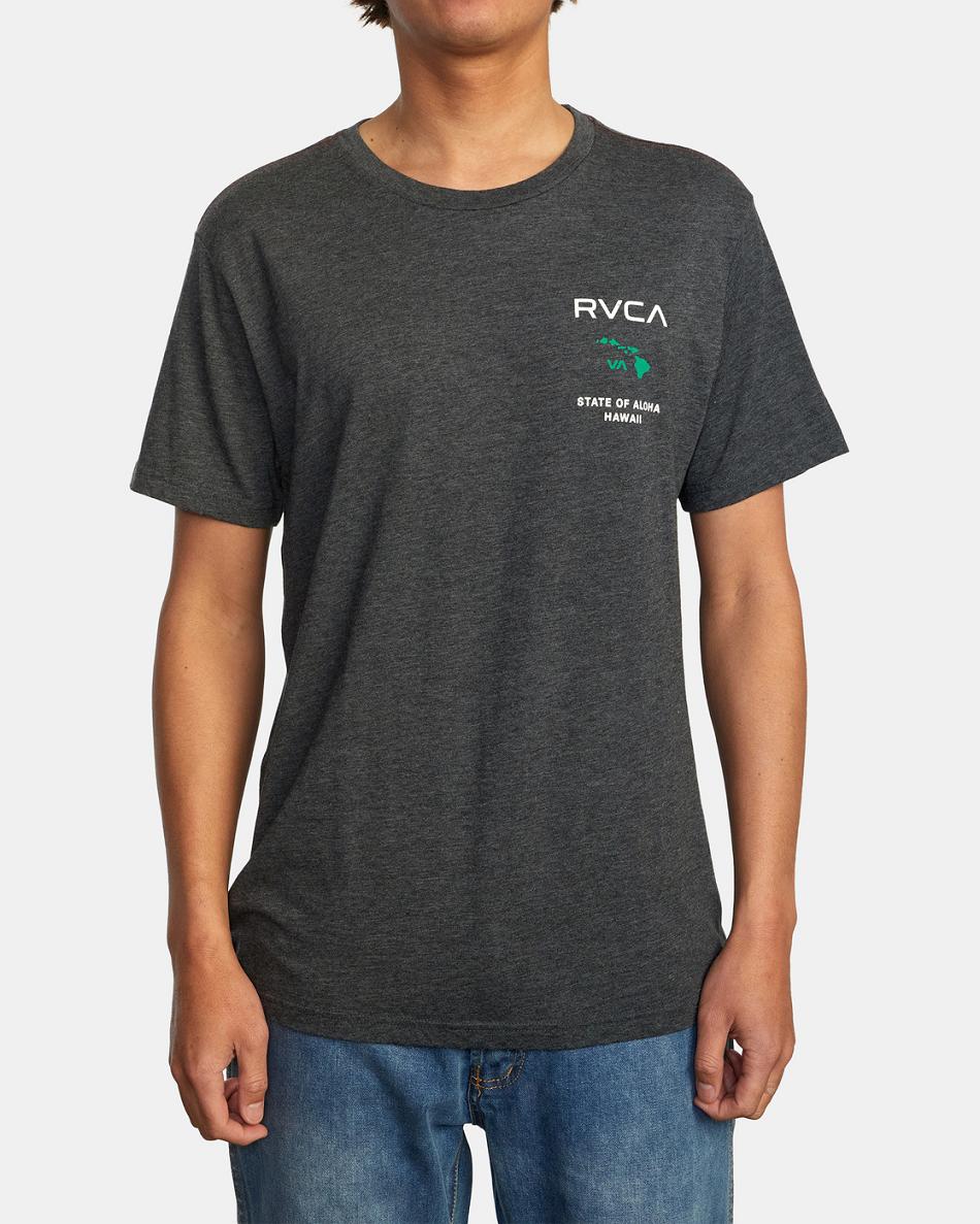 Black/Green Rvca State Of Aloha Tee Men's Short Sleeve | MUSFT81813