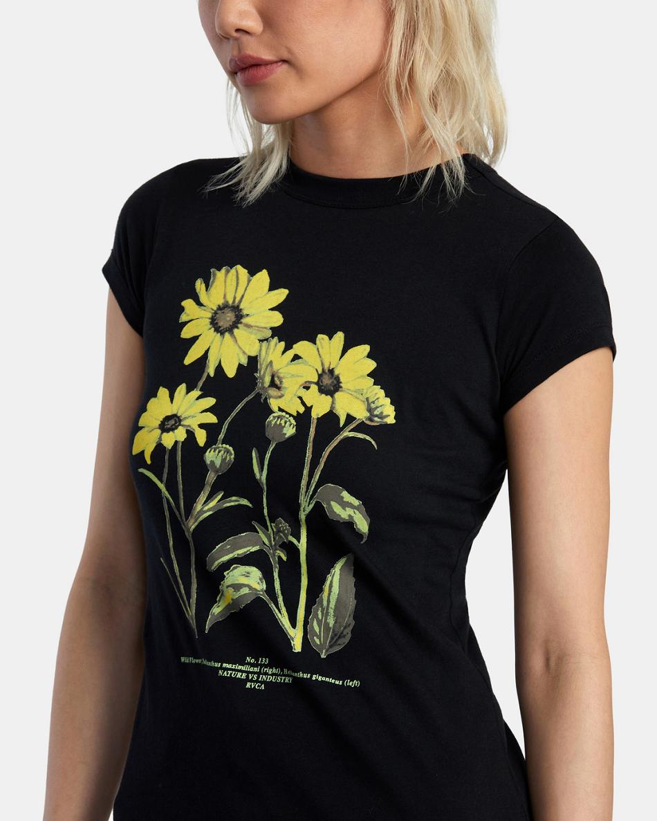 Black Rvca Botanical Naughty Women's T shirt | XUSBH92549