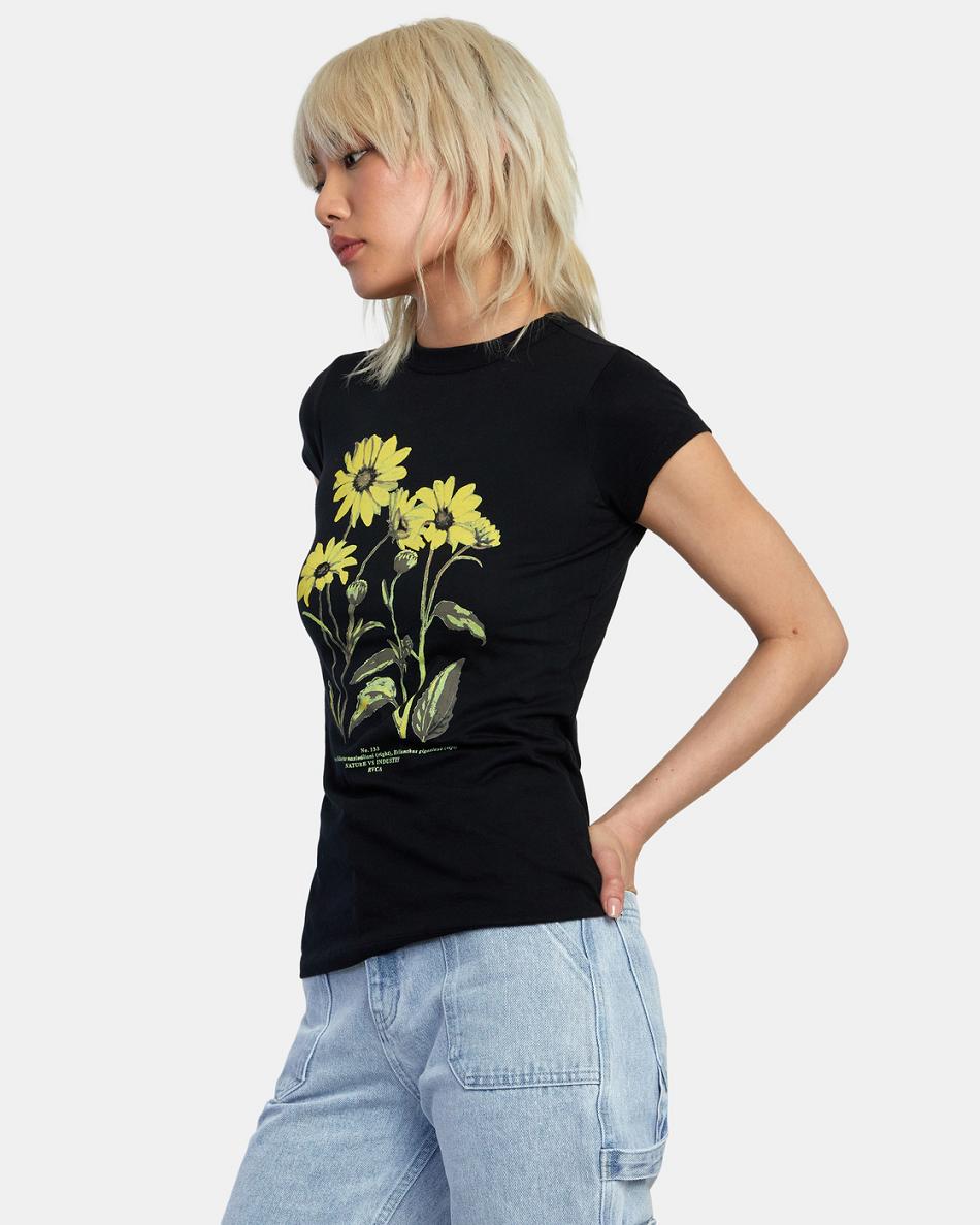 Black Rvca Botanical Naughty Women's T shirt | XUSBH92549
