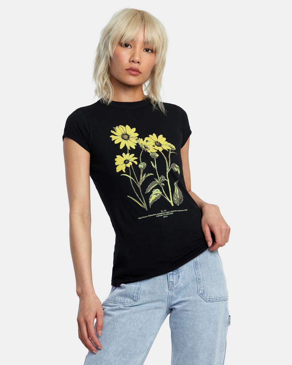 Black Rvca Botanical Naughty Women\'s T shirt | XUSBH92549