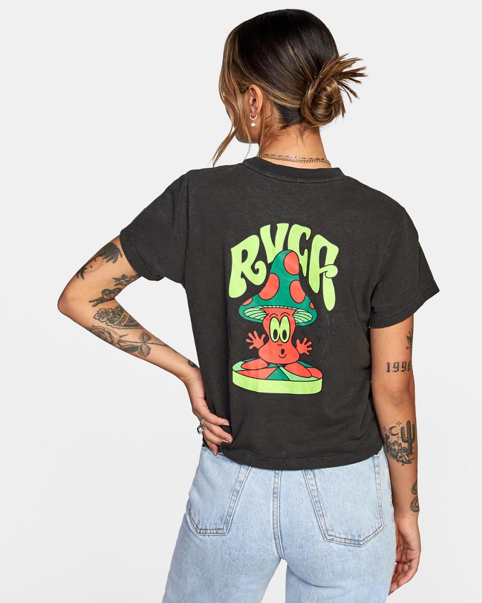 Black Rvca Mushtoo Slim Fit Women's T shirt | FUSHY16216