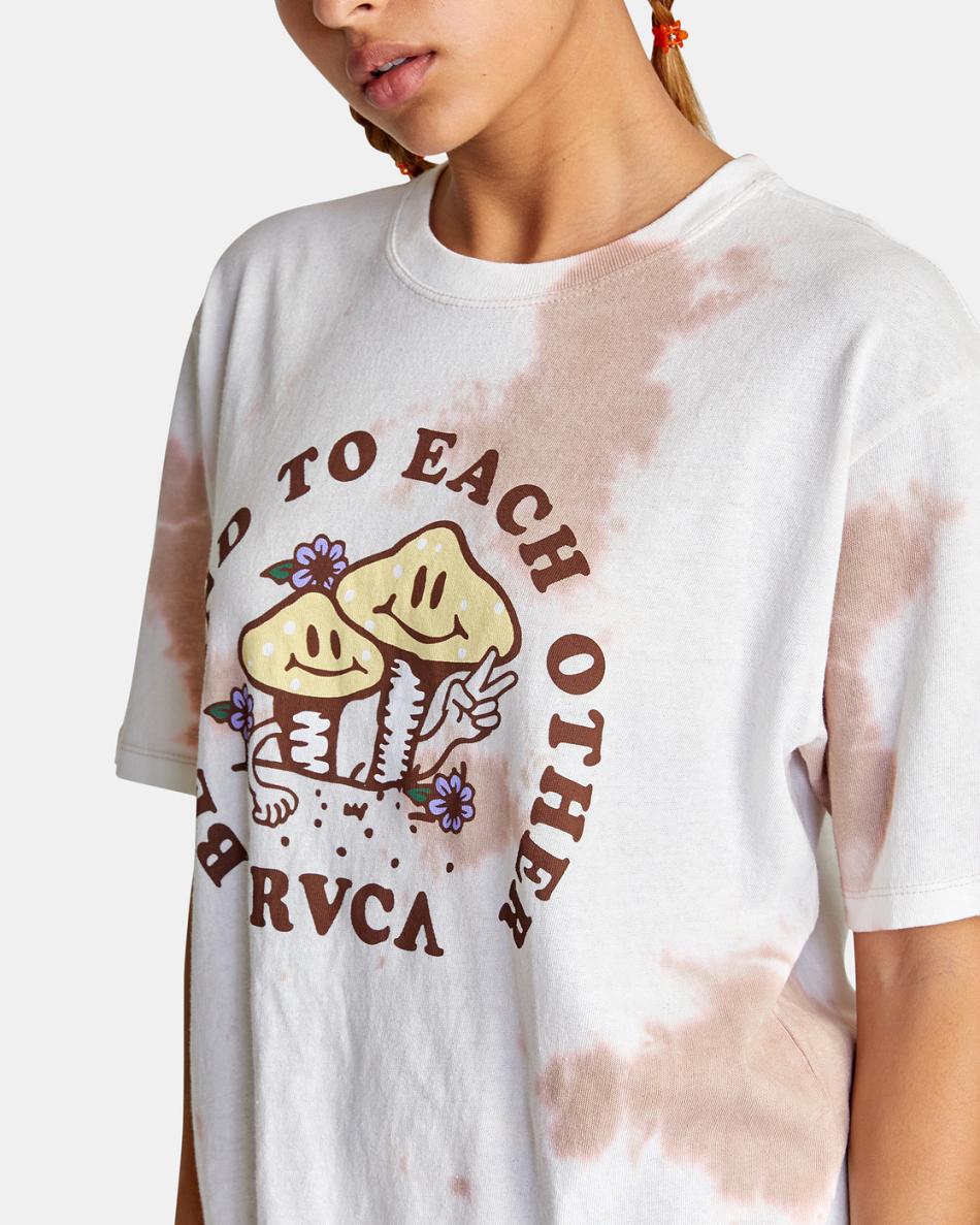 Dusty Rose Rvca Be Kind Graphic Women's T shirt | ZUSMJ20752