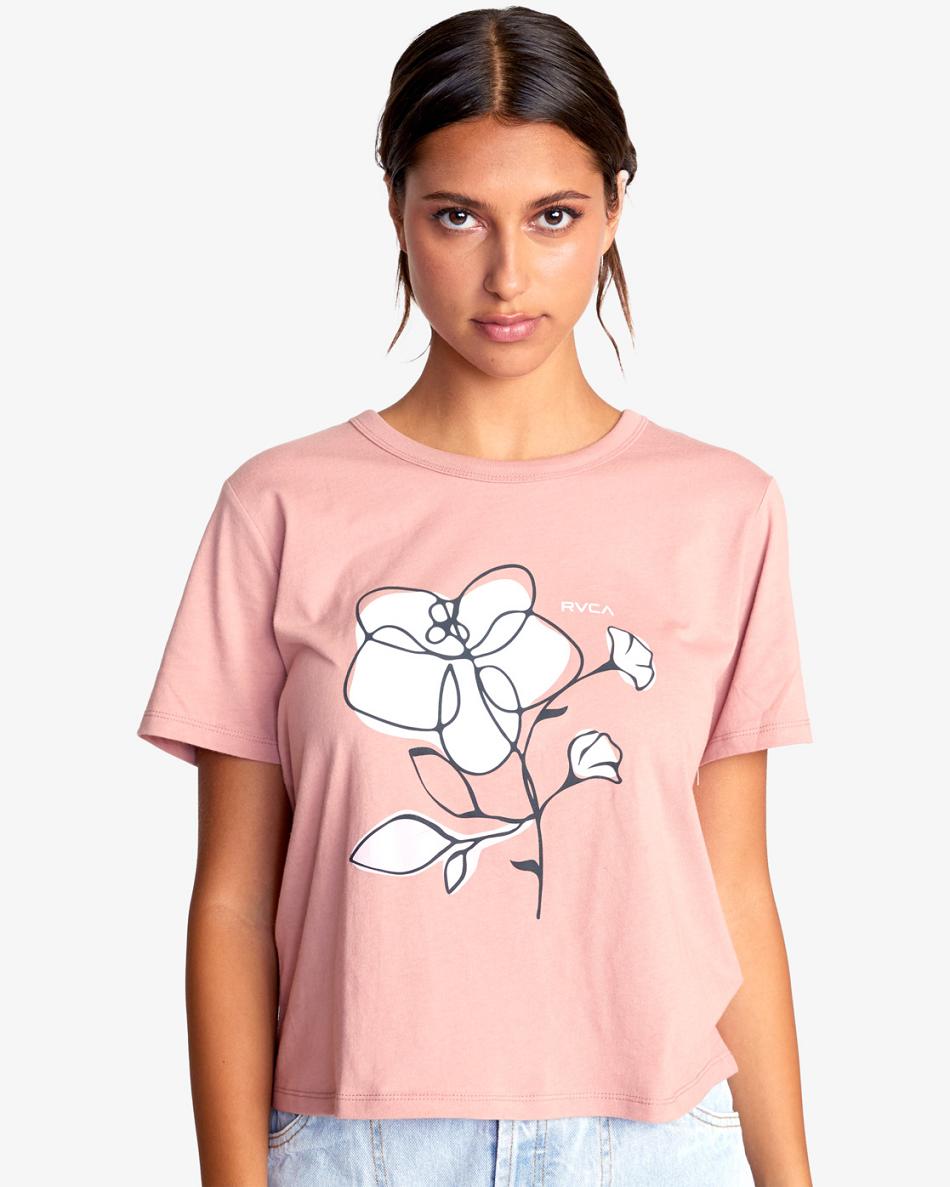 Dusty Rose Rvca Posy Graphic Women\'s T shirt | USZPD77550