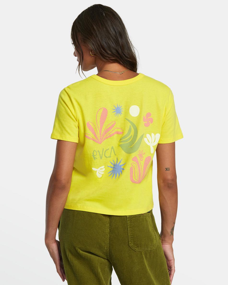 Guava Rvca Cuttings Women's T shirt | USXBR20015