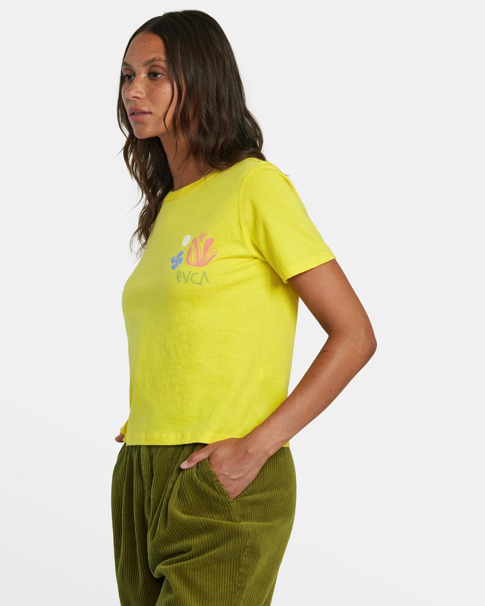 Guava Rvca Cuttings Women's T shirt | USXBR20015