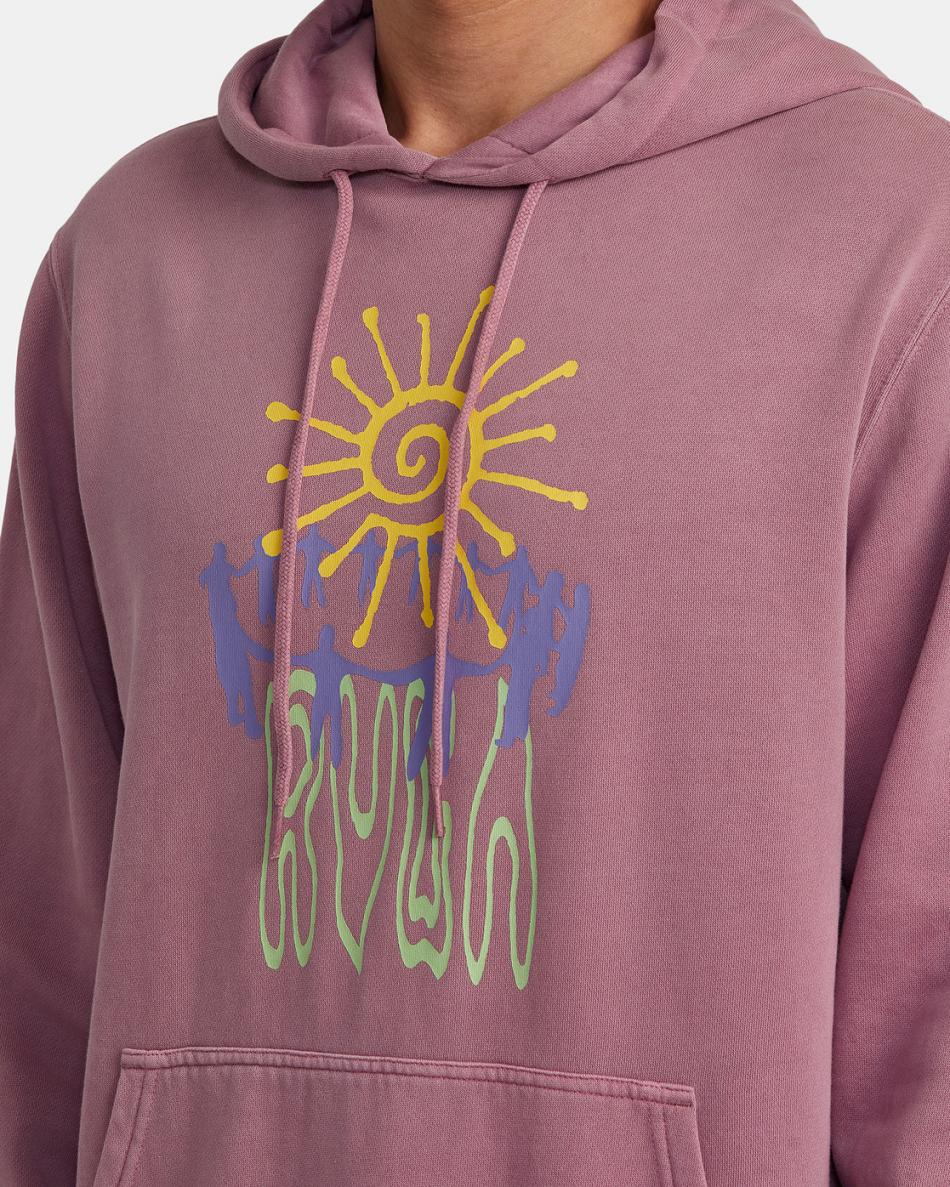 Lavender Rvca Sun Worship Men's Hoodie | PUSQX87578