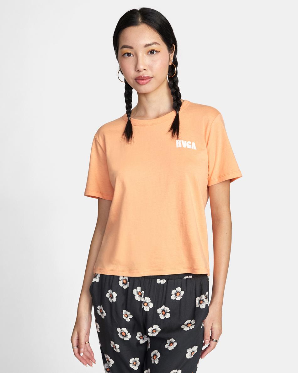Melon Rvca Daylight Graphic Women\'s T shirt | PUSQX47511