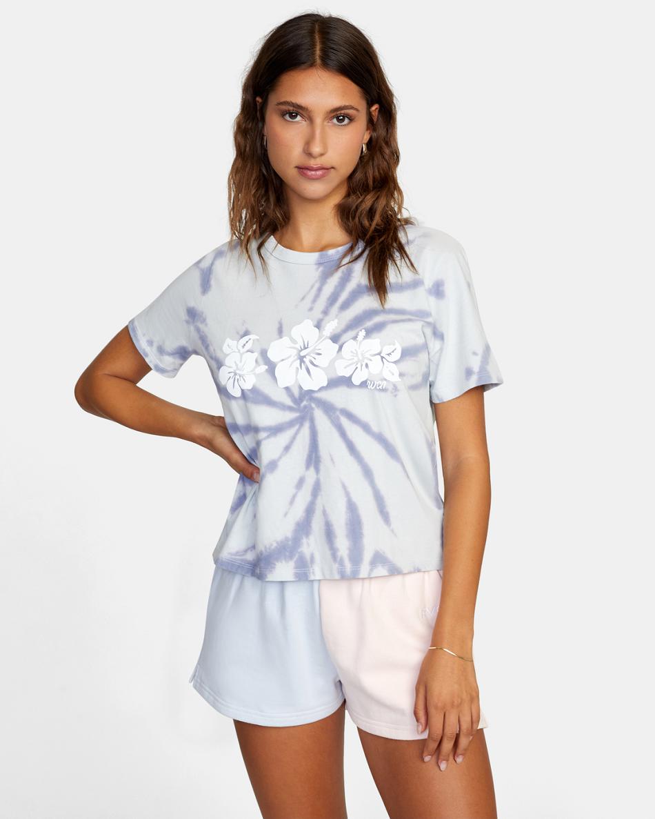 Multi Rvca Aloha Graphic Women\'s T shirt | USQAV85171