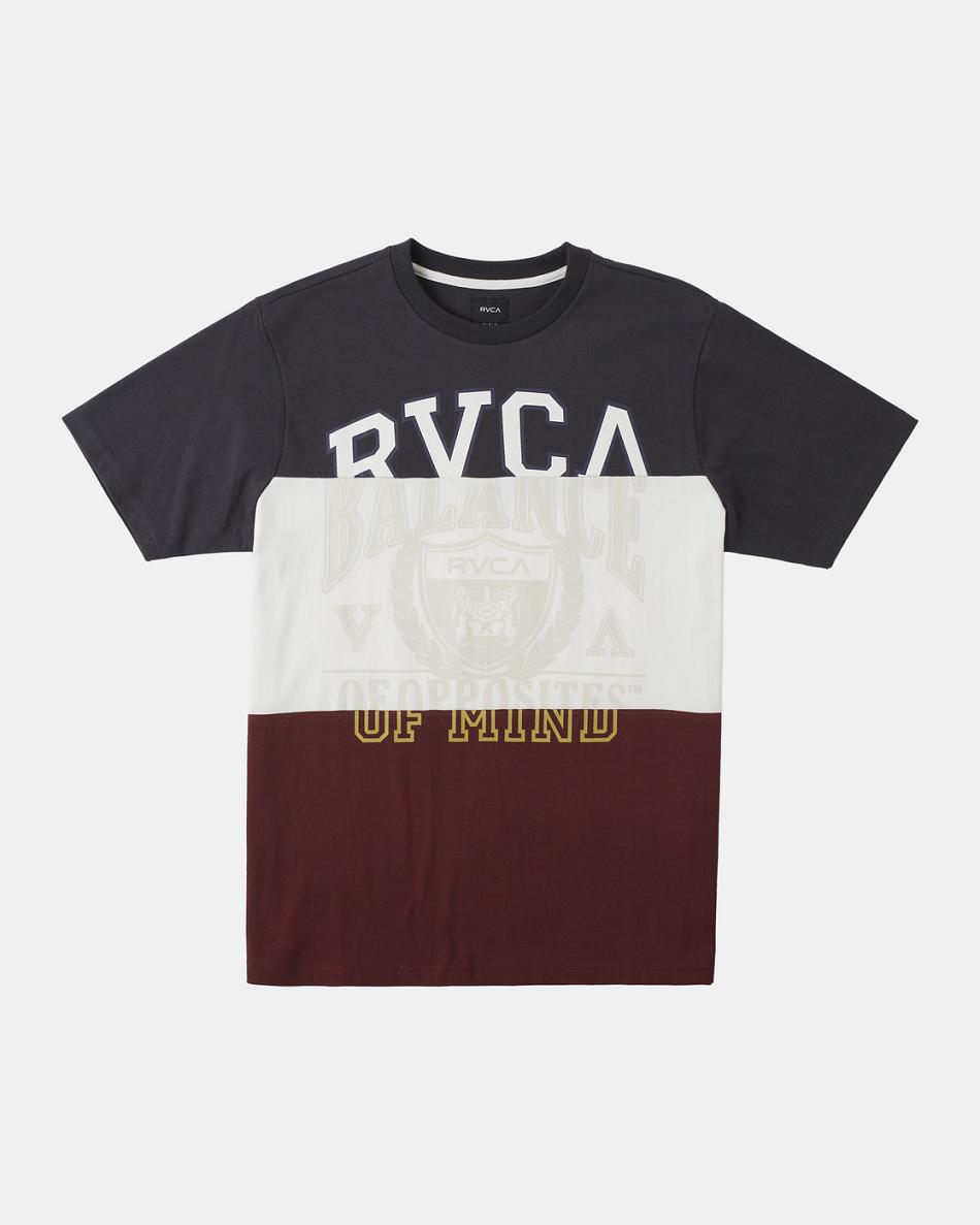 Multi Rvca Compilation T-Shirt Men\'s Short Sleeve | USQAV90671