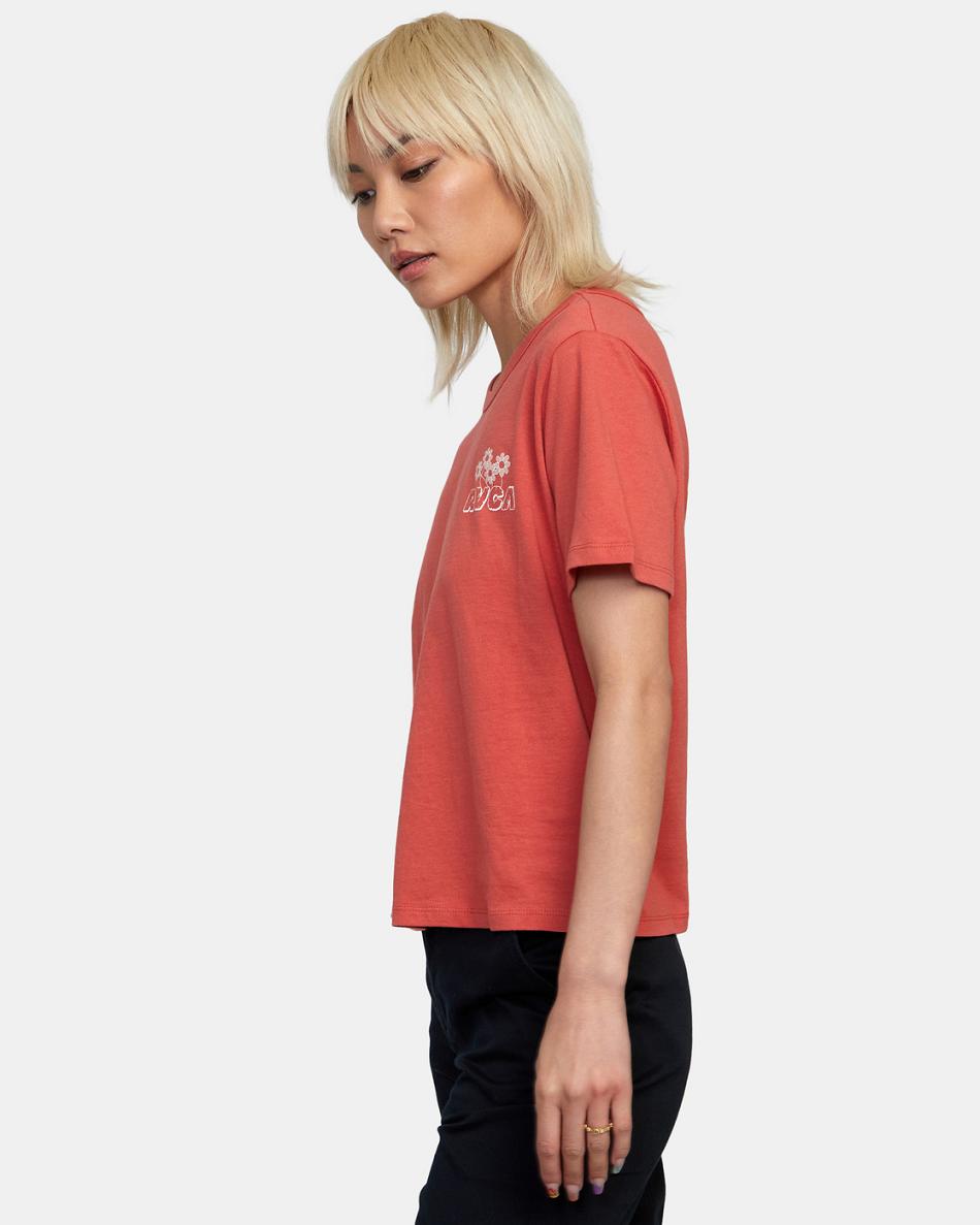 Red Earth Rvca Gardener Graphic Women's T shirt | BUSSD92434
