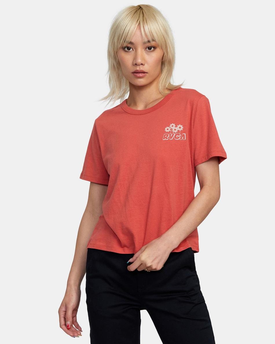 Red Earth Rvca Gardener Graphic Women\'s T shirt | BUSSD92434