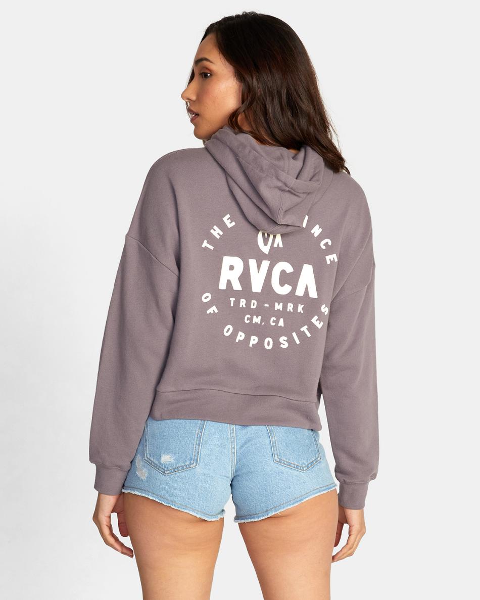 Shark Rvca All Day Pullover Hoodie Women's Loungewear | UUSND81546