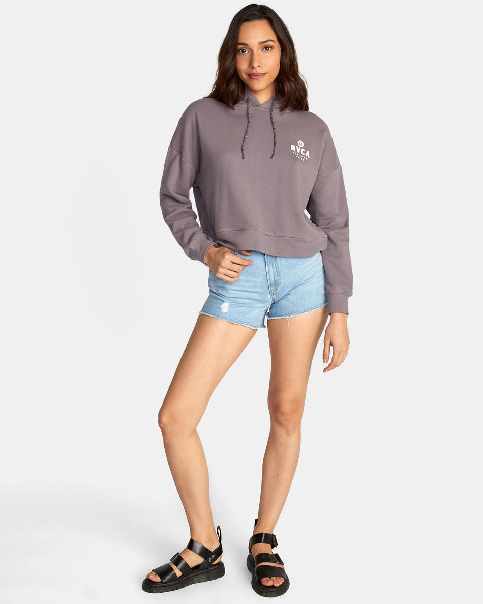 Shark Rvca All Day Pullover Hoodie Women's Loungewear | UUSND81546