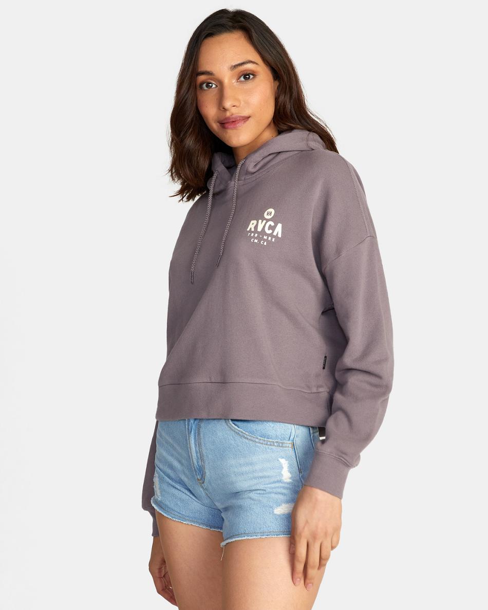 Shark Rvca All Day Pullover Hoodie Women's Loungewear | UUSND81546