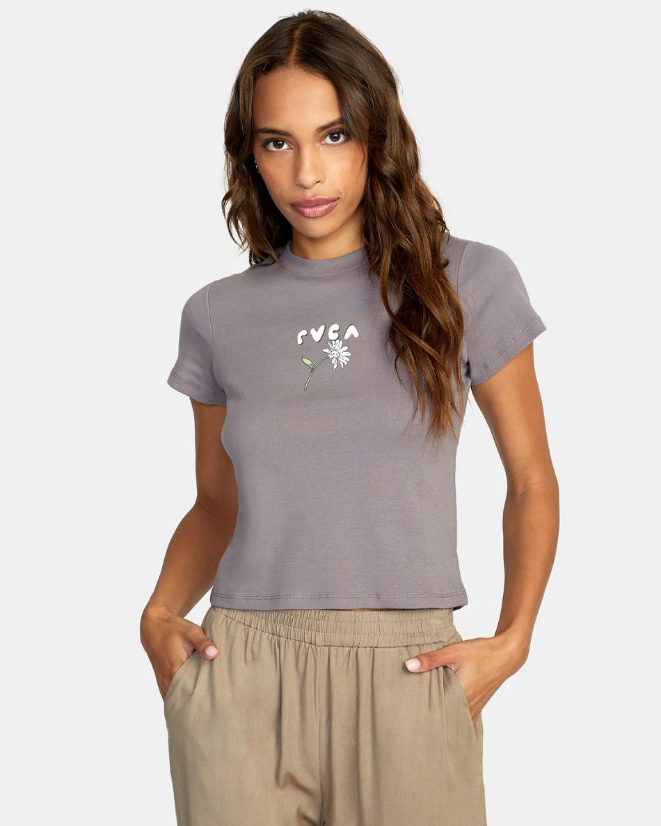 Shark Rvca Better Dayz Graphic Women\'s T shirt | YUSVQ47131