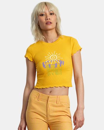 Citrus Rvca Sun Worship Classmate Women's T shirt | YUSVQ29042