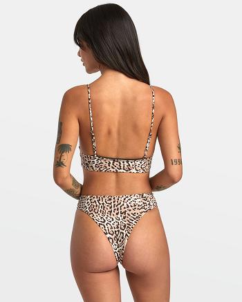 Java Rvca Meow High Rise Cheeky Women's Bikini Bottoms | ZUSMJ93742