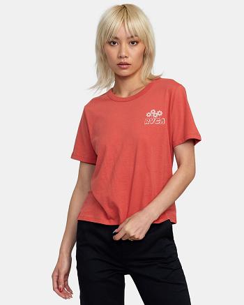 Red Earth Rvca Gardener Graphic Women's T shirt | BUSSD92434