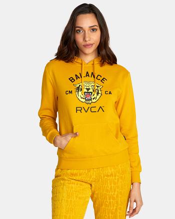 Tawny Gold Rvca Squadron Hoodie Women's Loungewear | FUSHY78073